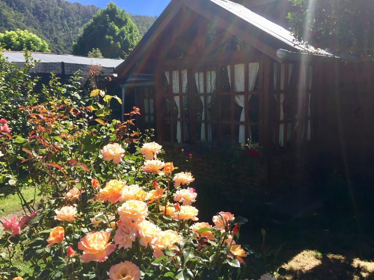 Tu Cabaña San Martín de los Andes Exterior foto